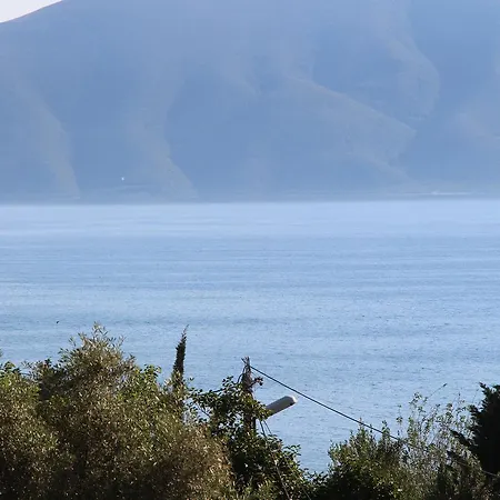 Aurora Vlore